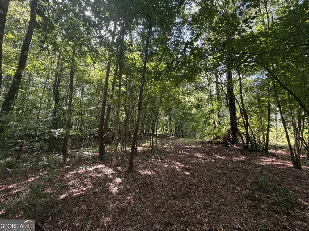 10 Sunhill Grange RD Davisboro, GA 31018