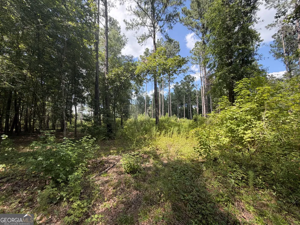 10 Sunhill Grange RD Davisboro, GA 31018