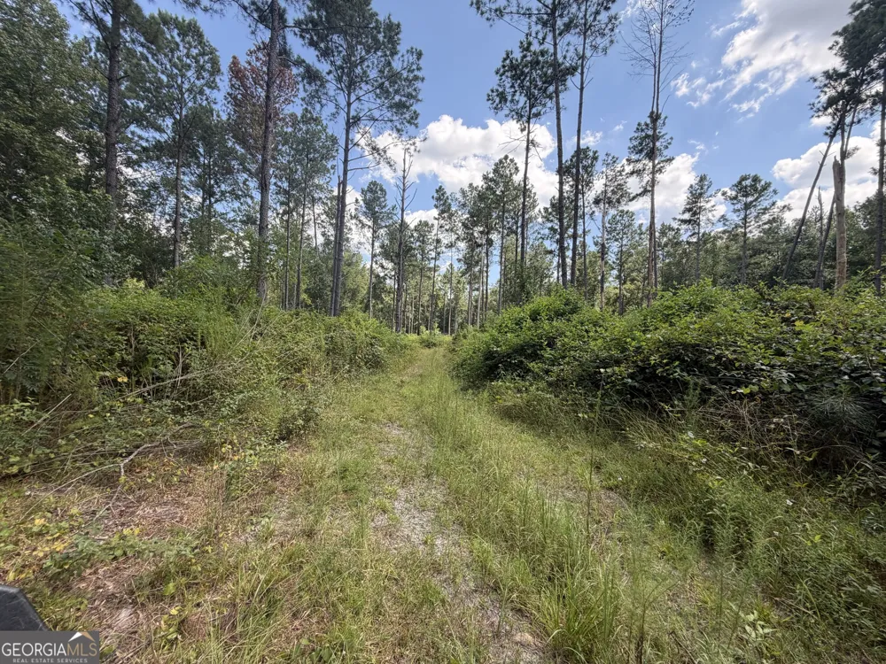 10 Sunhill Grange RD Davisboro, GA 31018