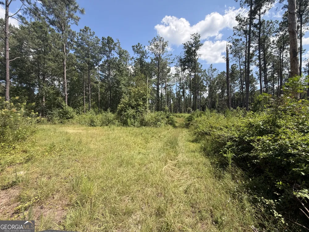 10 Sunhill Grange RD Davisboro, GA 31018