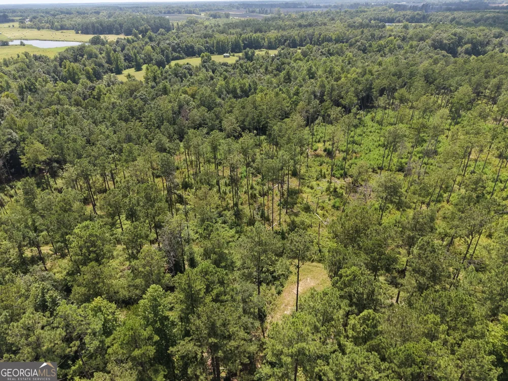 10 Sunhill Grange RD Davisboro, GA 31018