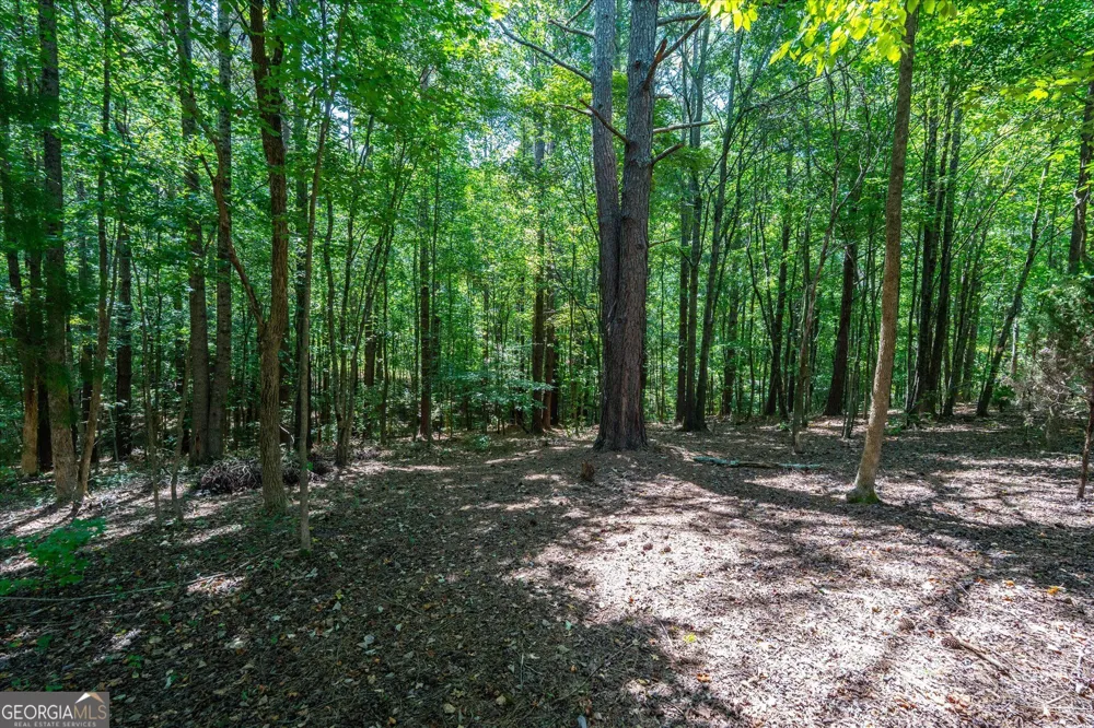 212 Overlook Way Carrollton, GA 30117