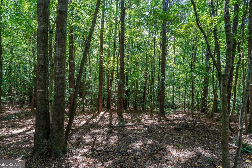 212 Overlook Way Carrollton, GA 30117