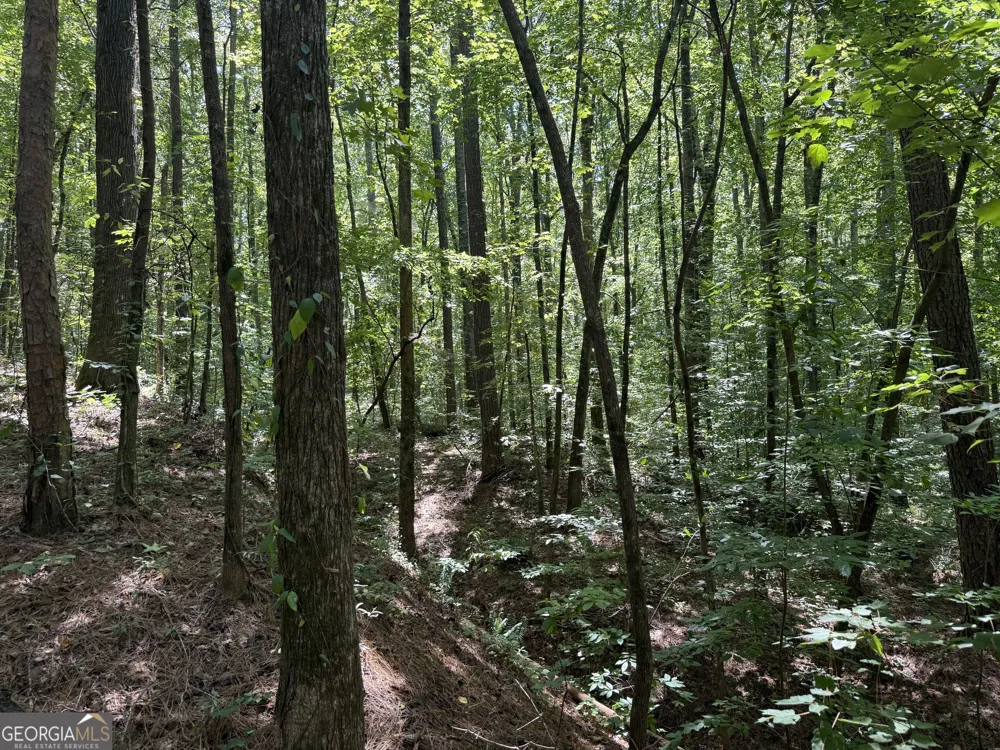 0 Center Point RD Carrollton, GA 30117