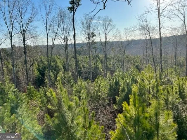 0 Luke Edwards RD Dacula, GA 30019