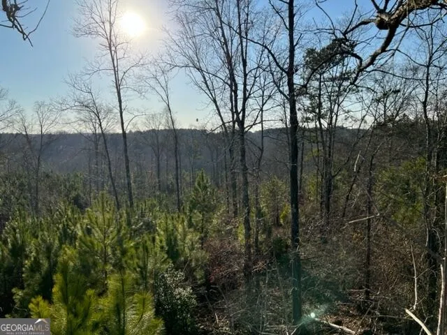 0 Luke Edwards RD Dacula, GA 30019