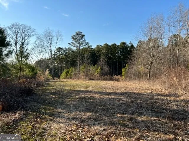 0 Luke Edwards RD Dacula, GA 30019