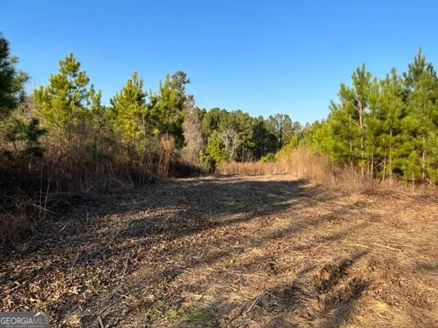 0 Luke Edwards RD Dacula, GA 30019