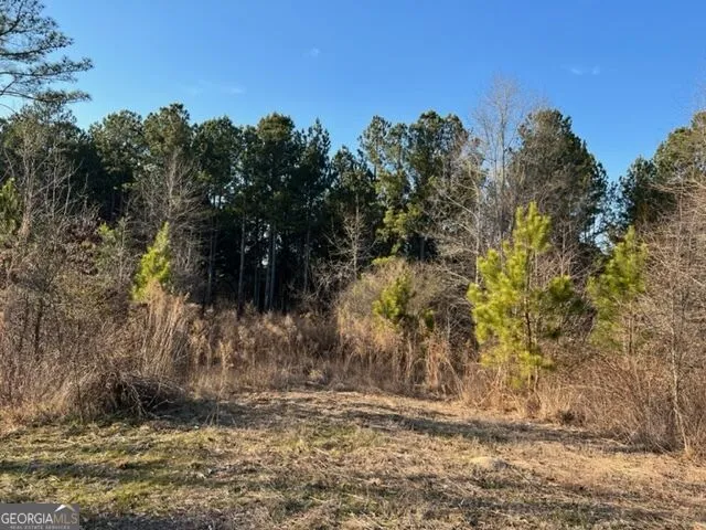 0 Luke Edwards RD Dacula, GA 30019
