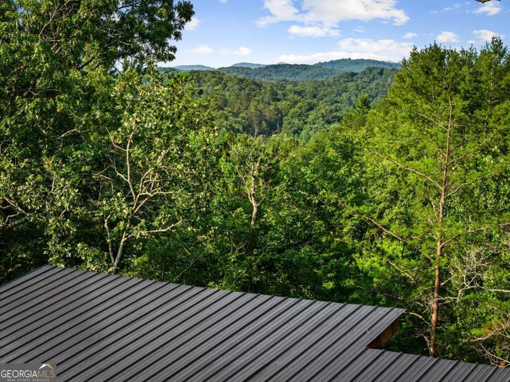 65 Wolf Creek HTS Mineral Bluff, GA 30559