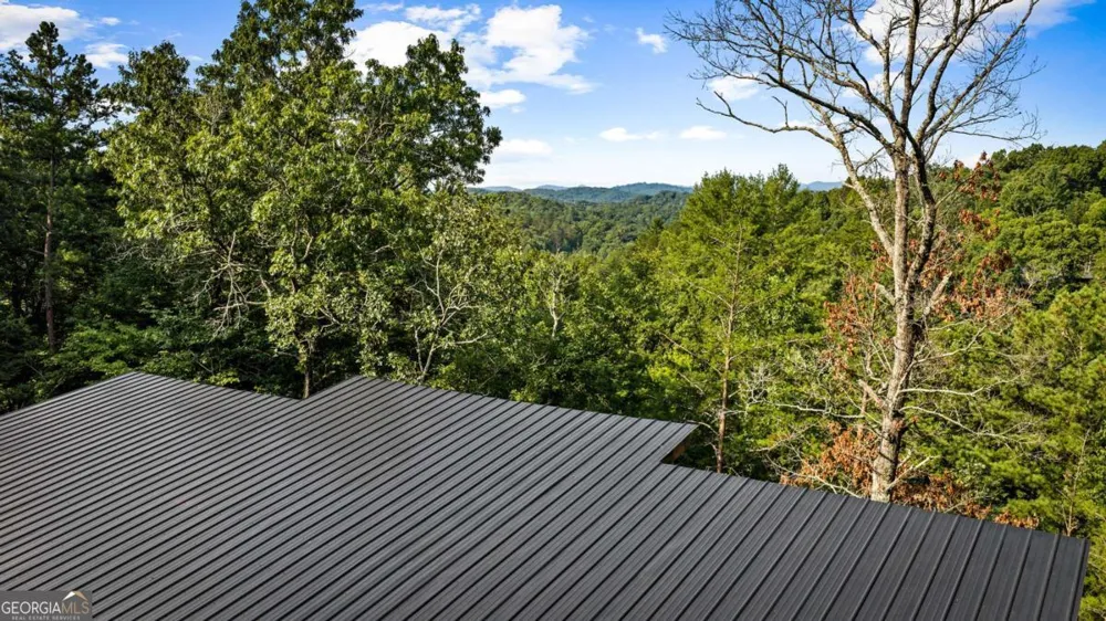 65 Wolf Creek HTS Mineral Bluff, GA 30559