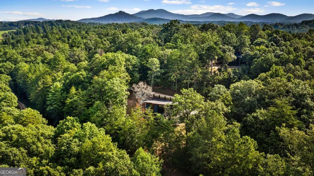 65 Wolf Creek HTS Mineral Bluff, GA 30559