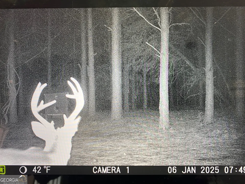 0 Center Hill School RD Crawfordville, GA 30631