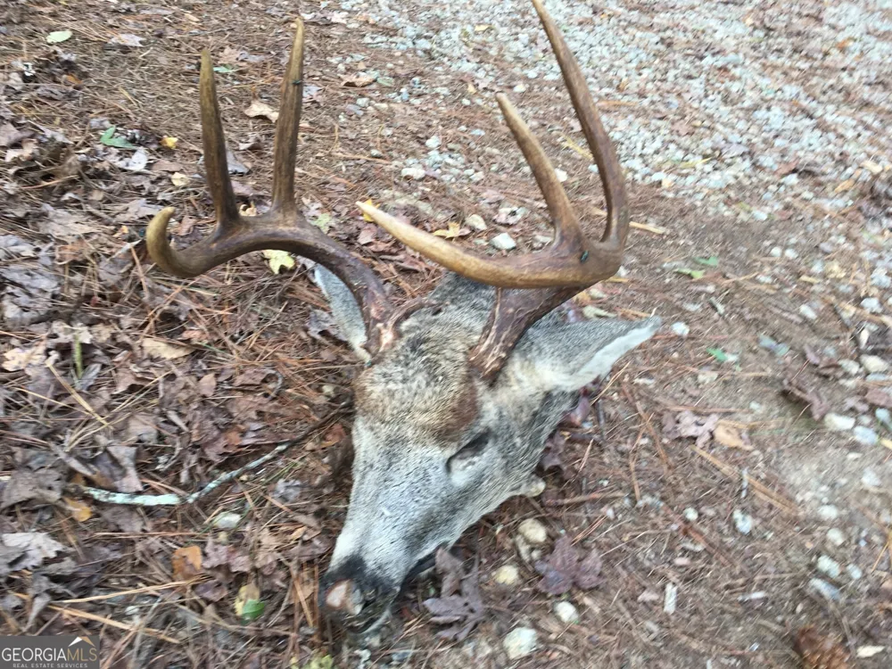 0 Center Hill School RD Crawfordville, GA 30631