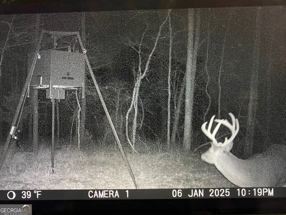 0 Center Hill School RD Crawfordville, GA 30631