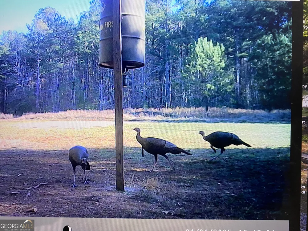 0 Center Hill School RD Crawfordville, GA 30631