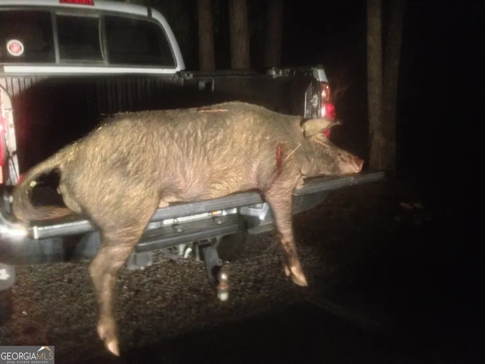 0 Center Hill School RD Crawfordville, GA 30631