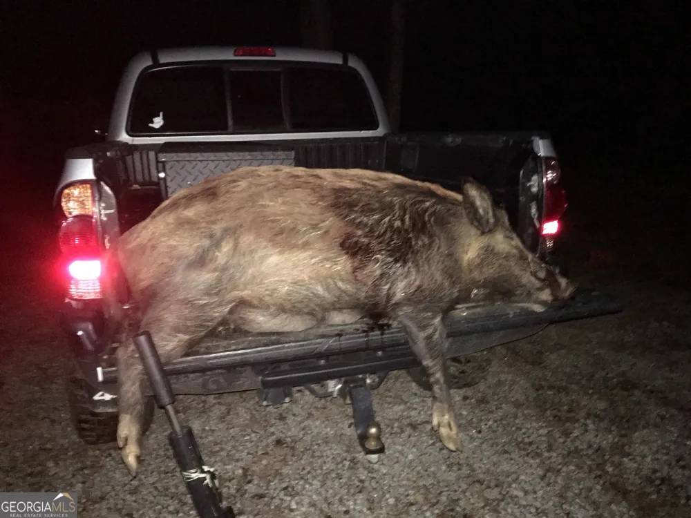 0 Center Hill School RD Crawfordville, GA 30631