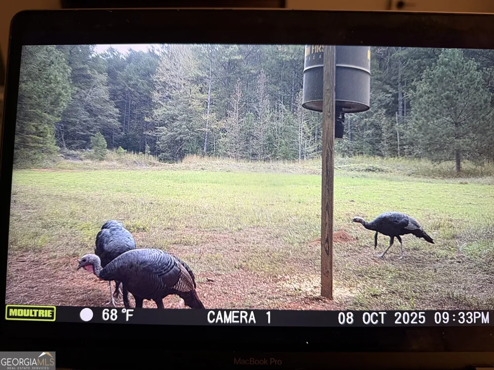 0 Center Hill School RD Crawfordville, GA 30631