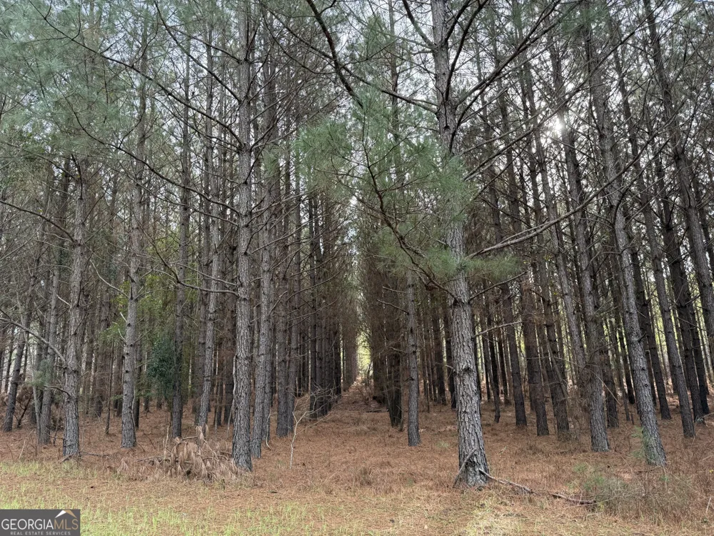 0 Center Hill School RD Crawfordville, GA 30631