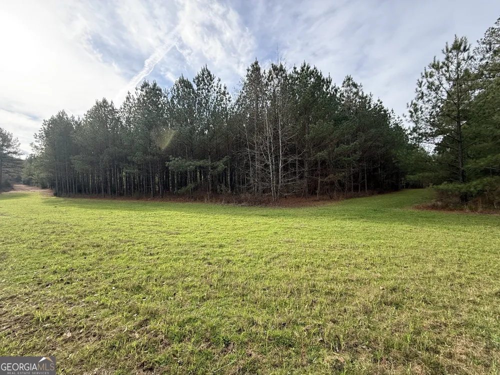 0 Center Hill School RD Crawfordville, GA 30631
