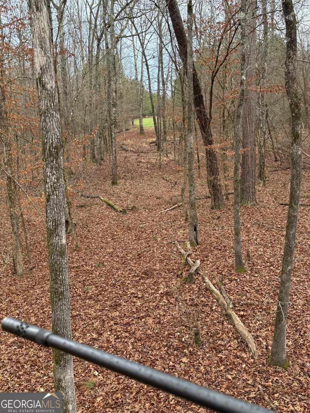 0 Center Hill School RD Crawfordville, GA 30631