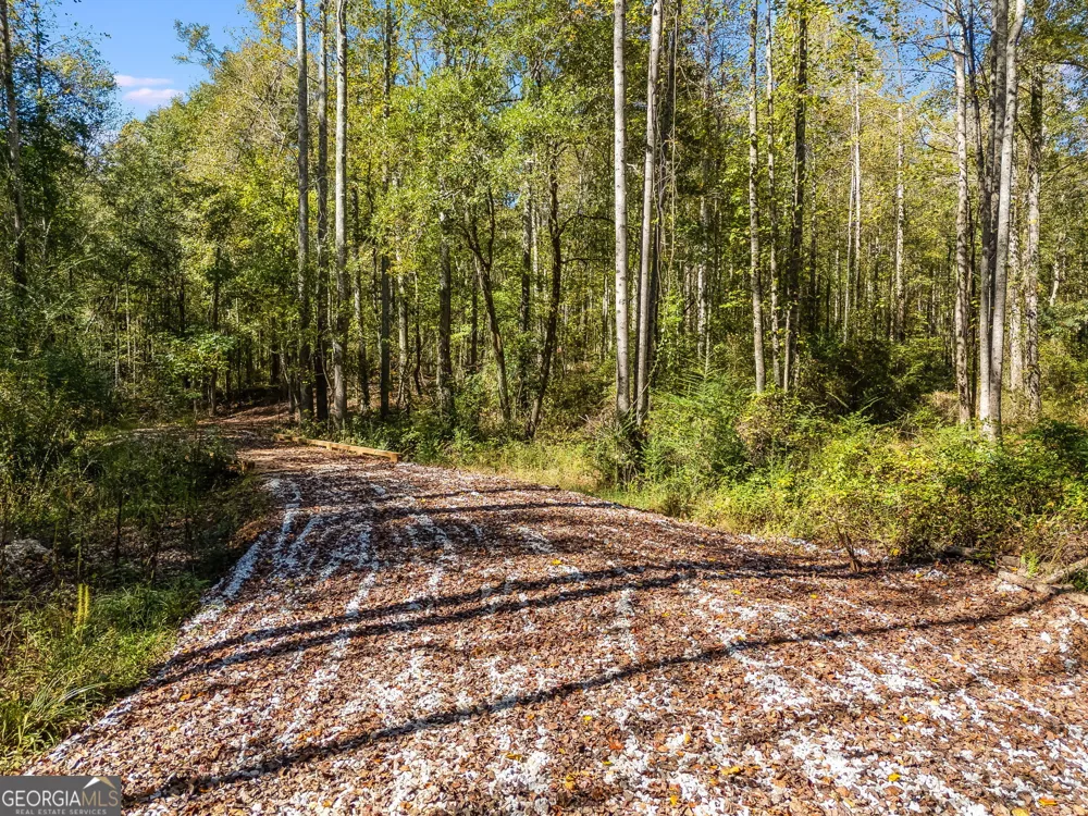 0 Hog Liver RD Carrollton, GA 30117
