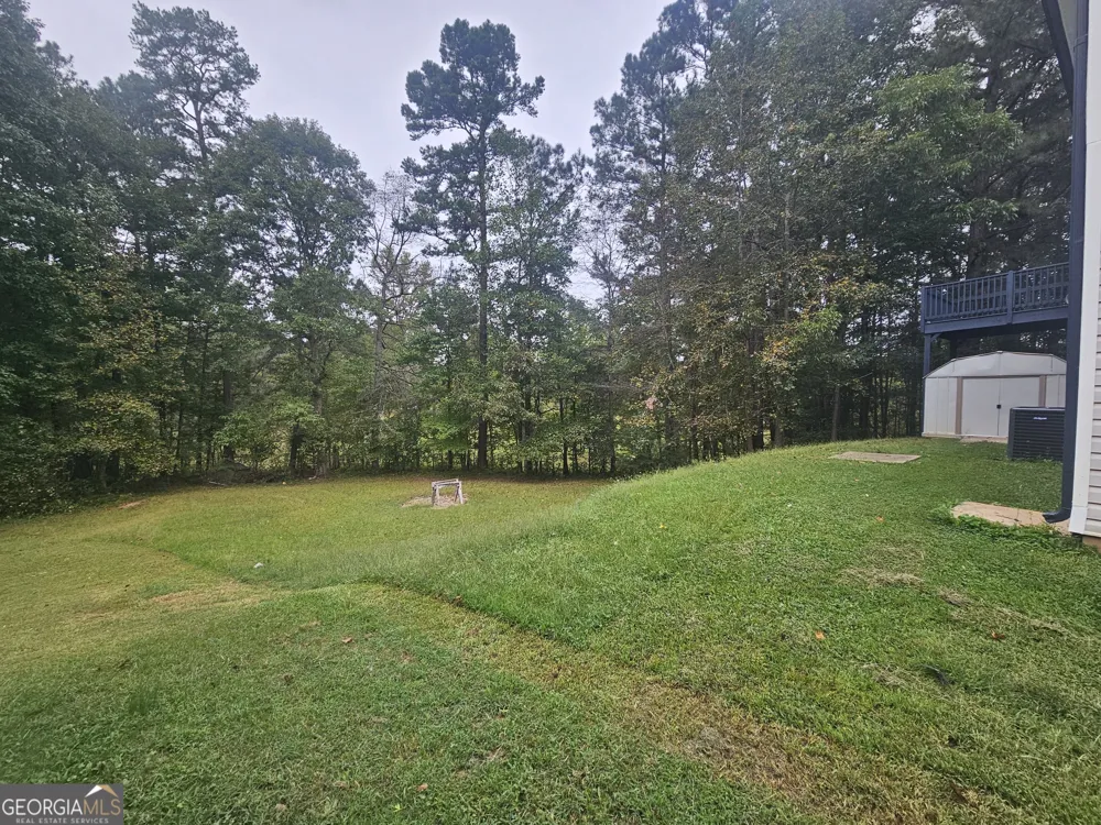 521 Shaggy Hickory TRL Palmetto, GA 30268