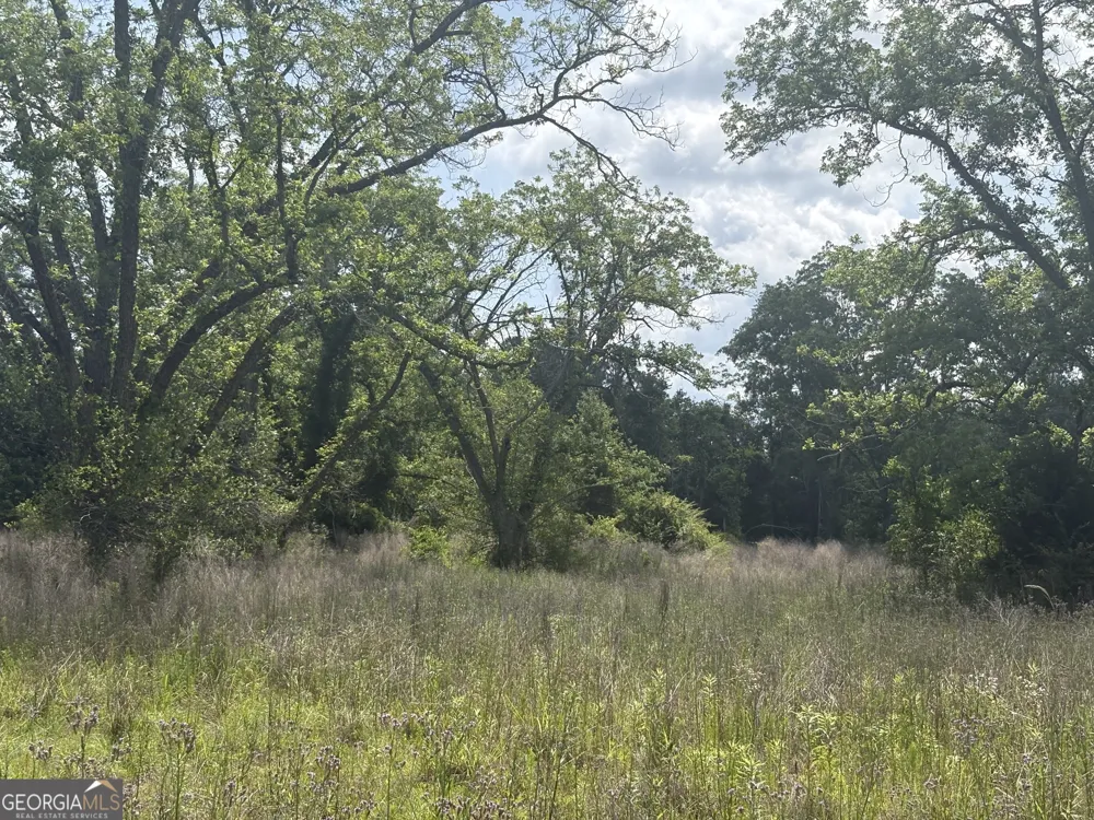 0 East RD Fitzgerald, GA 31750