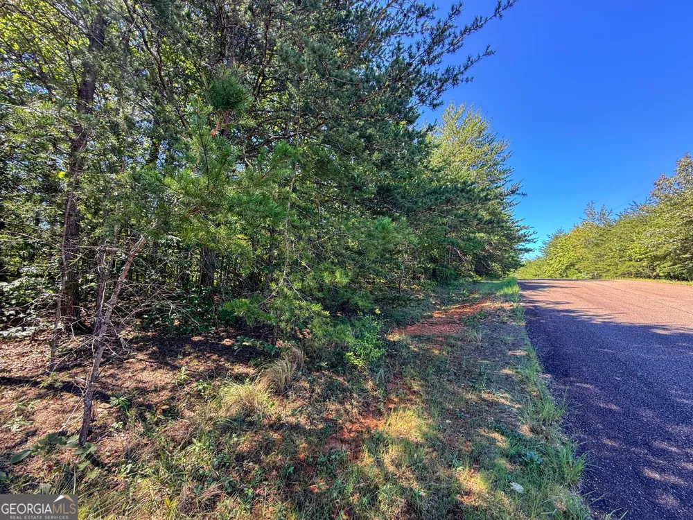 LOT 21 Sunshine Ridge DR Toccoa, GA 30577