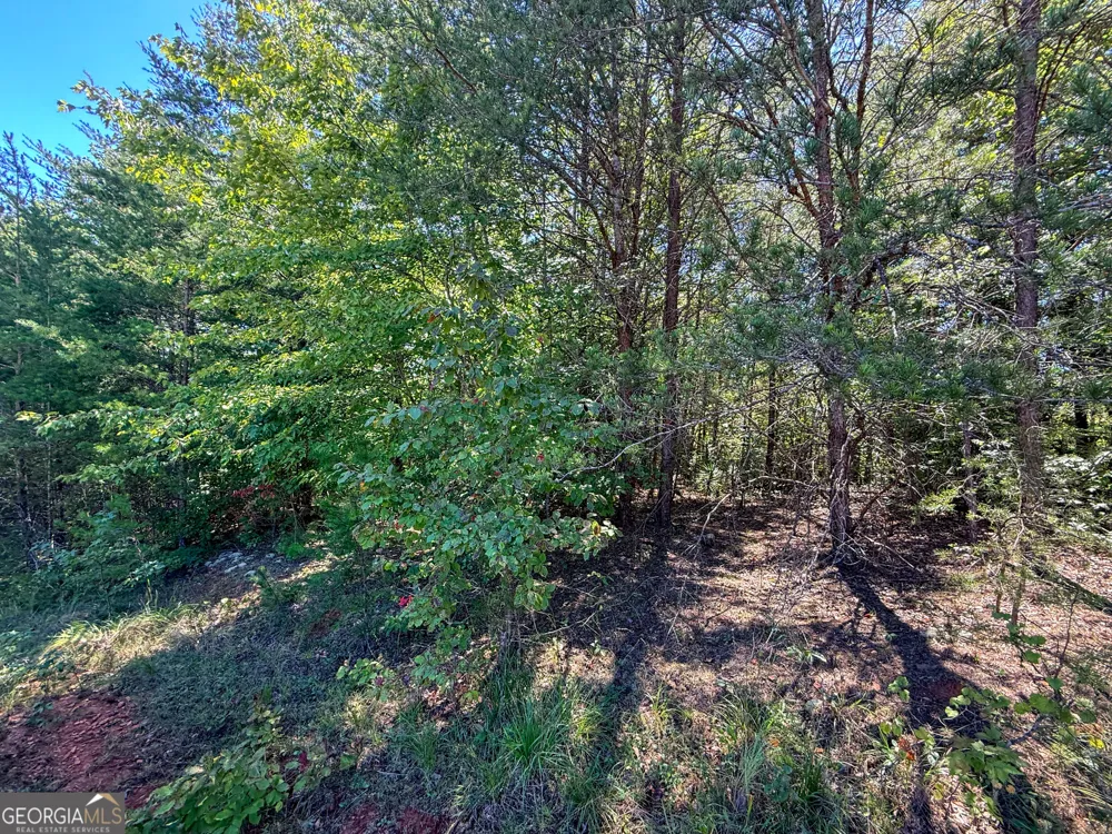 LOT 21 Sunshine Ridge DR Toccoa, GA 30577