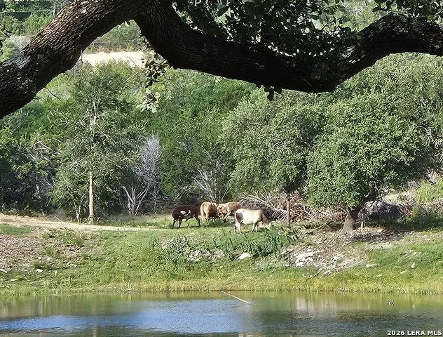 1676 Lake Dr Spring Branch, TX 78070