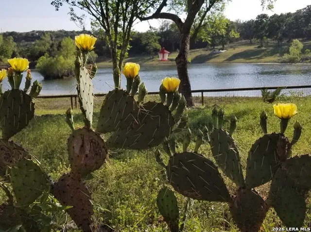 1676 Lake Dr Spring Branch, TX 78070