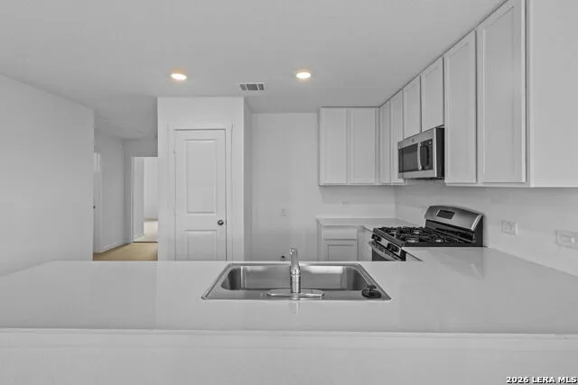 13047 Lake Fryer St Hedwig, TX 78152