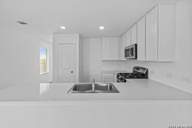 13039 Lake Fryer St Hedwig, TX 78152