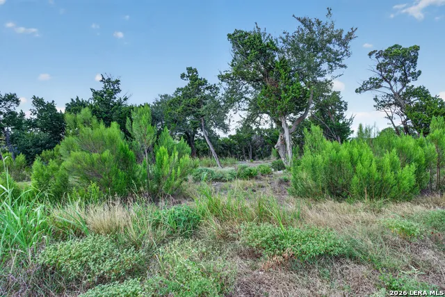 1466 Chianti New Braunfels, TX 78132
