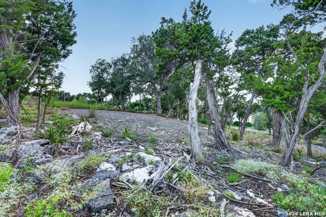 1466 Chianti New Braunfels, TX 78132
