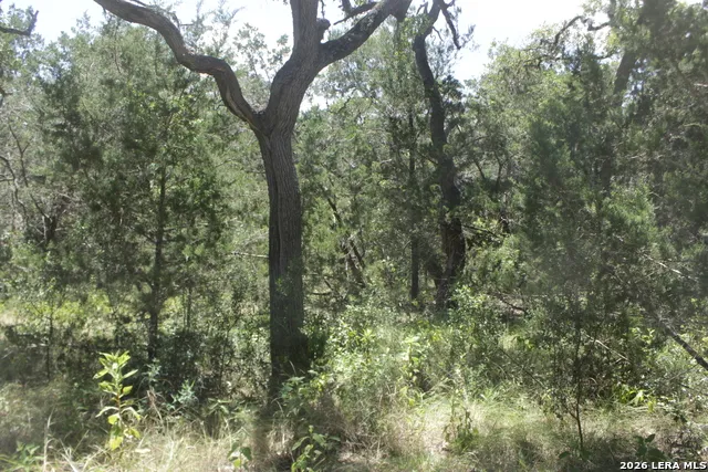 147 Big Shades Rd Concan, TX 78838