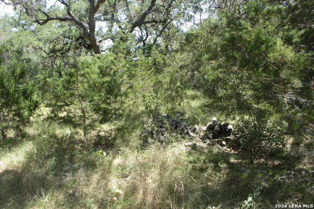 147 Big Shades Rd Concan, TX 78838
