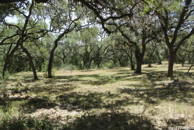 147 Big Shades Rd Concan, TX 78838