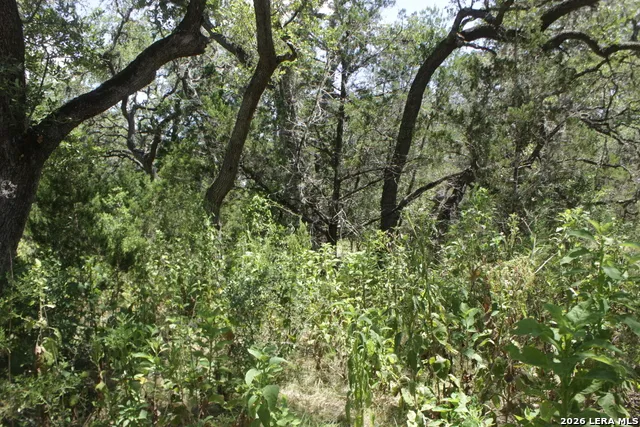 147 Big Shades Rd Concan, TX 78838