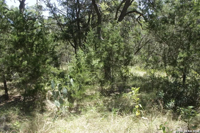 147 Big Shades Rd Concan, TX 78838