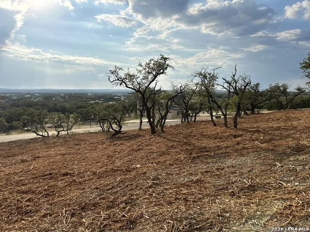 34780 Ansley Ridge Bulverde, TX 78163
