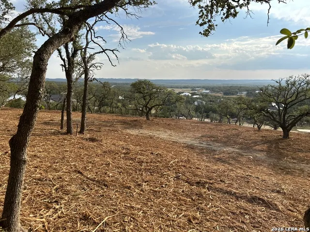 34780 Ansley Ridge Bulverde, TX 78163