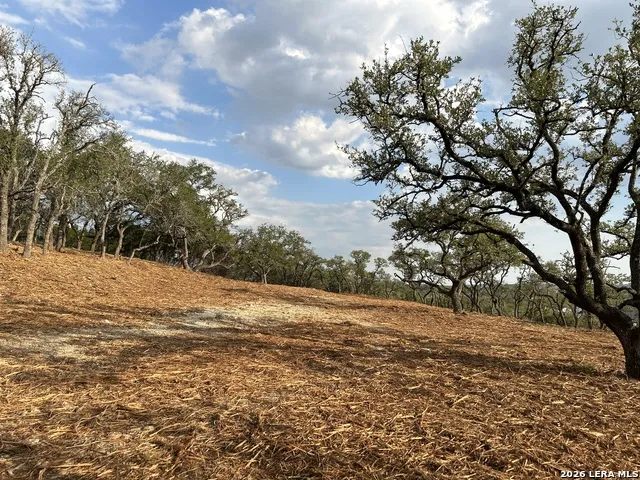 34780 Ansley Ridge Bulverde, TX 78163