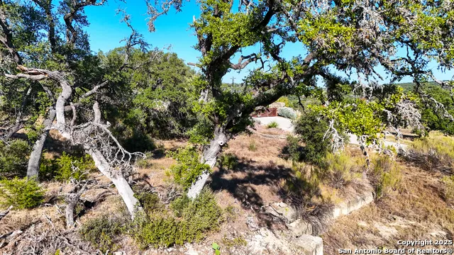 3010 Campestres Spring Branch, TX 78070