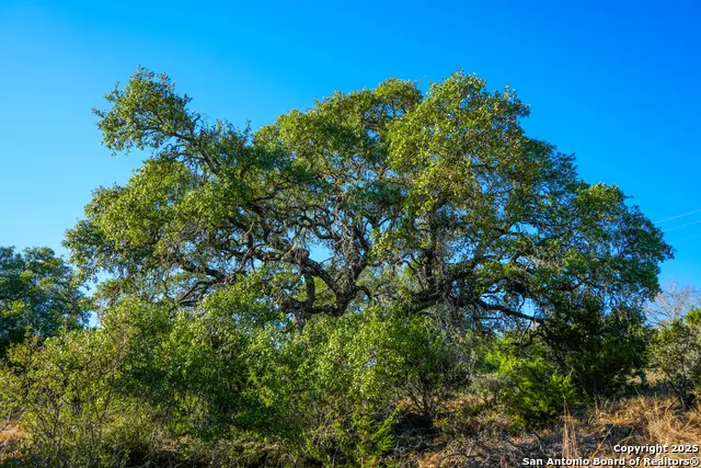 3010 Campestres Spring Branch, TX 78070