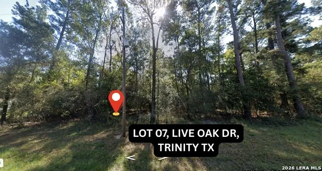 0 Live Oak Trinity, TX 75862