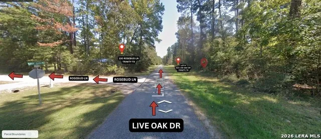 0 Live Oak Trinity, TX 75862