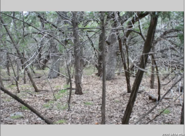848 FAWN RIVER DR Spring Branch, TX 78070